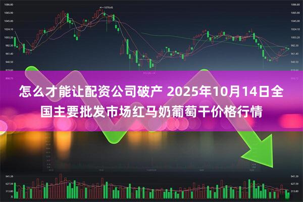 怎么才能让配资公司破产 2025年10月14日全国主要批发市场红马奶葡萄干价格行情