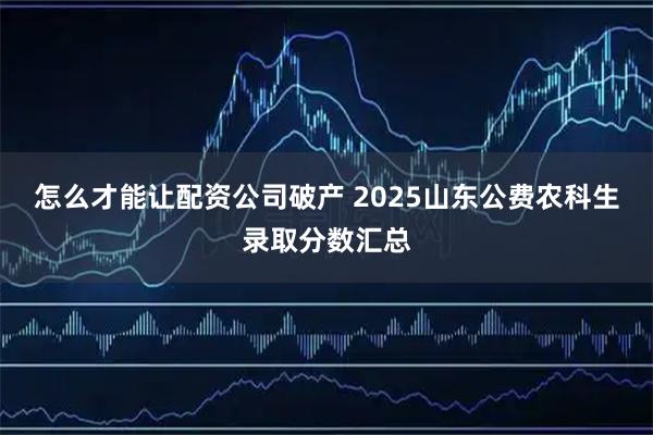 怎么才能让配资公司破产 2025山东公费农科生录取分数汇总