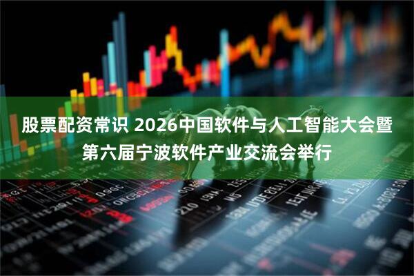 股票配资常识 2026中国软件与人工智能大会暨第六届宁波软件产业交流会举行